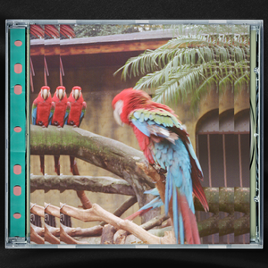 美女又爽❌又黄❌大尺度
