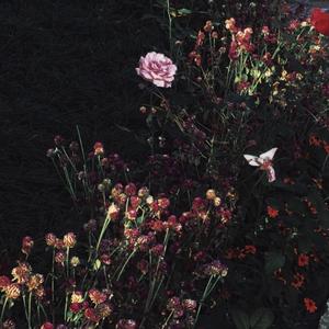 美女又爽❌又黄❌大尺度
